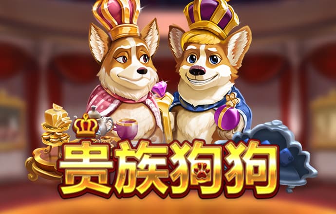 cmd体育综合