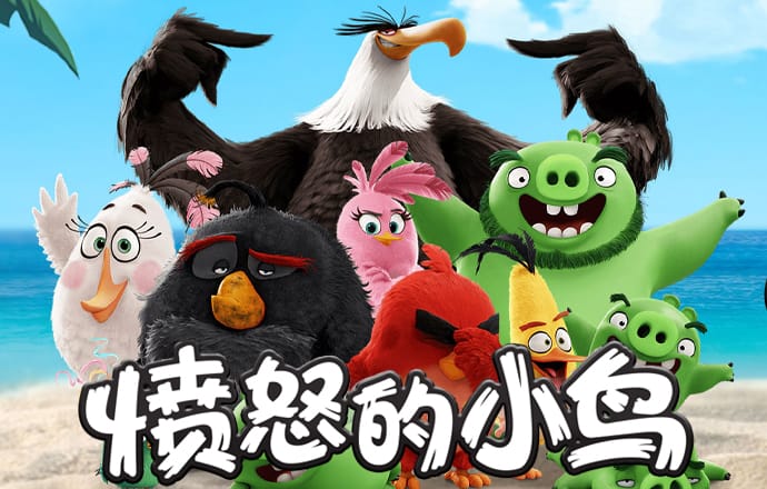 kok全站下载
